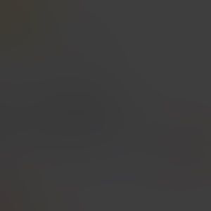 Meet your Posher, Lexi